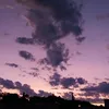 noctanebulae
