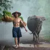 bongda.com01