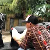 user51x6lb4yor