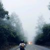 geryyy_2222