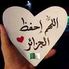user235305131