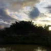 buram_91