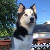 trosey244
