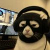 badromeo_
