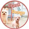 frankgeorge_thebuddy