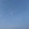 sdtwsnb11