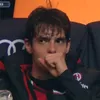 ggustaxsz