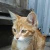 hectorortiz026