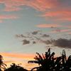 ambros_966
