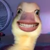 jhnheck6