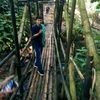 bezen11