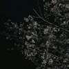 chocomouse__