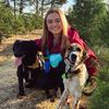 mollysdogpack