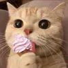 minhduc_6799