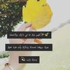 user4587769450158