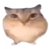litaf_litaf