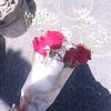 habibaaaa.3