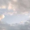 im_imt