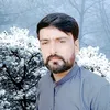 wasidogar44