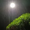 kucingorange22827