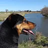 juanpablofoti