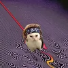 lajuuuuuuul