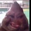 jigipoo