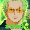 zoro_vx