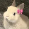 xz_qdl