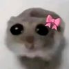 _beezle_bub_