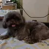 juicee_carol