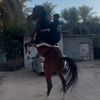 جويد 🐎💪❤️