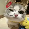 am.nexty0