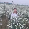 domaithanhhoa