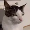 clacclac69