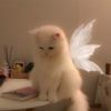 luckyrich_01