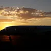 elias_alegre1