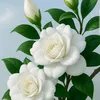 nhyl810613
