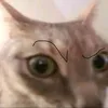 kodetzuwahhh