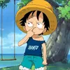 hatrinh206