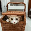 catninjazzz