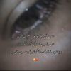 user396864056
