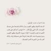 jeddah_falcon