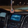 darkwolf_q8