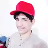 rajarizwanali4422