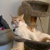 thecatlady6518