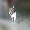 oscar._.0510