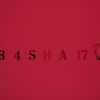 bashew87