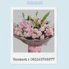 nonavirly15