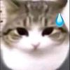 itsgabe38